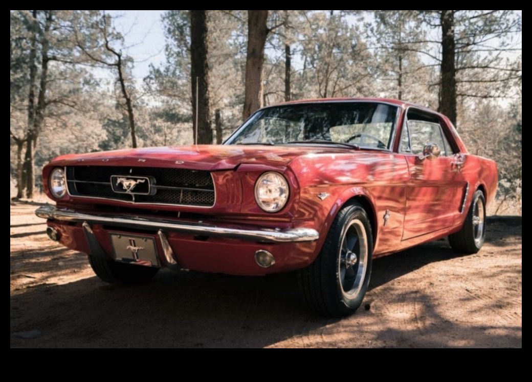 Driven by Classics A Timeless Passion for Vintage Vehicles 3 Driven by Classics: Vintage Vehicles and the Passion for Timeless Design