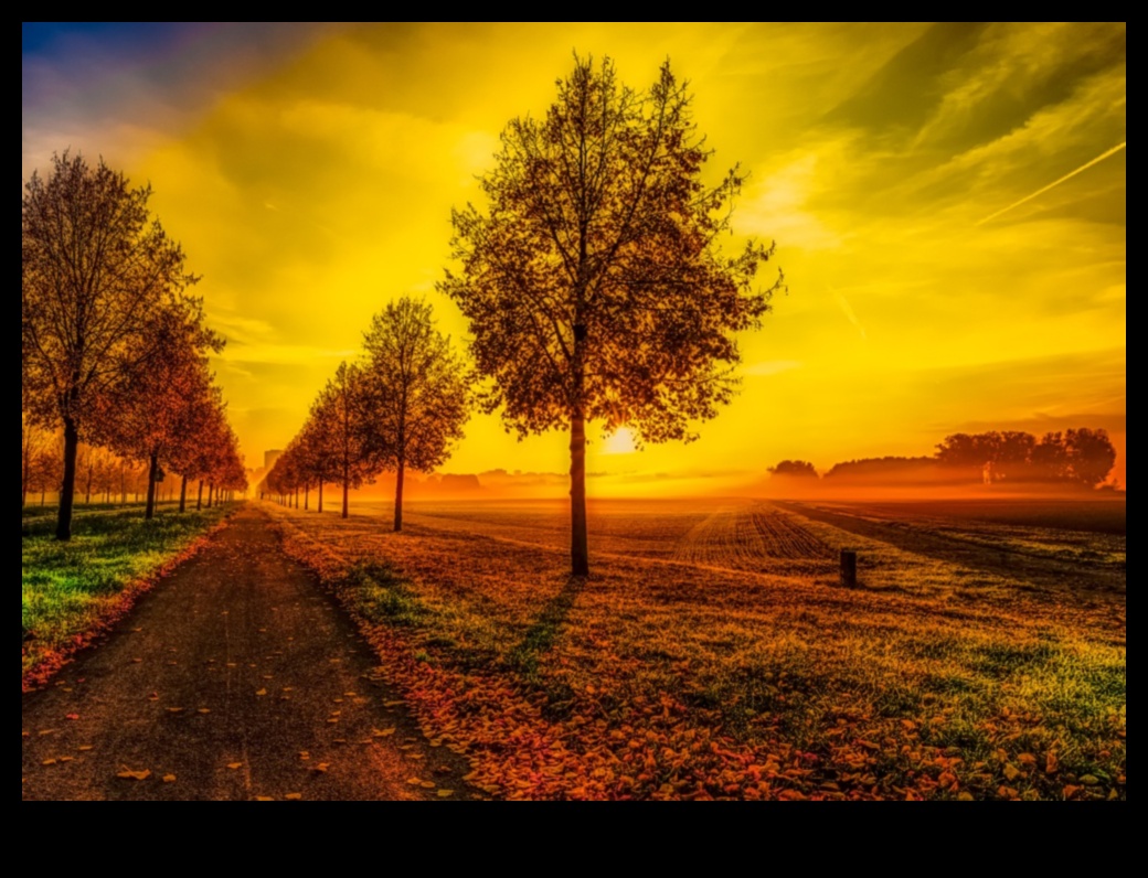 Realist Perspectives: Diverse Visions of the World in Art