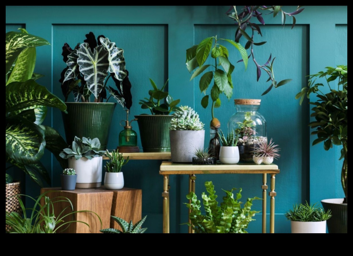 Συμβουλές για τη διακόσμηση του εξωτερικού σας κήπου