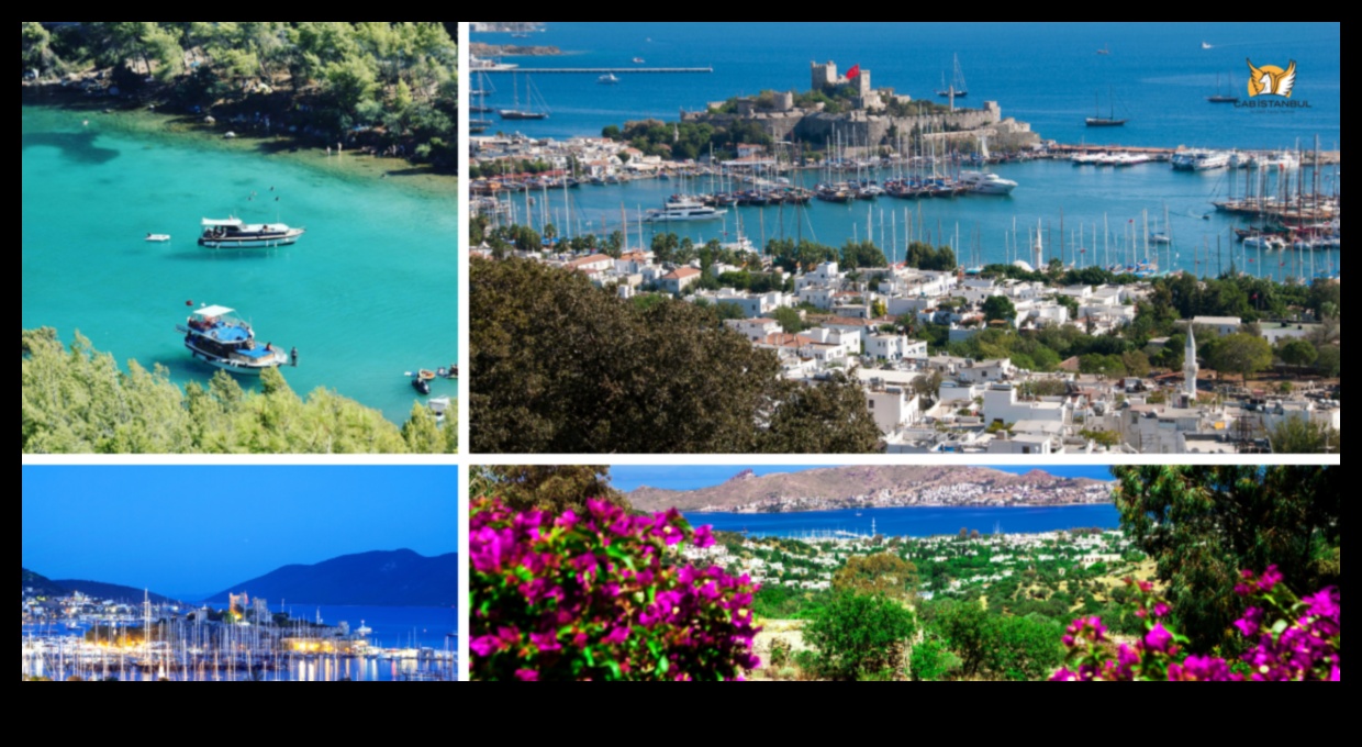 Vibrant Voyages: A Symphony of Colors in Travel Photography