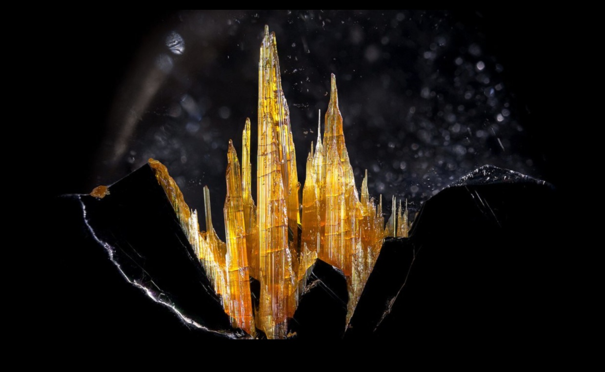 Enchanted Miniatures: A Visual Expedition into Microscopic Realms